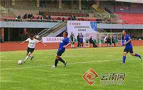 2025WTA生育支持制度，其他个人项目可以学习什么